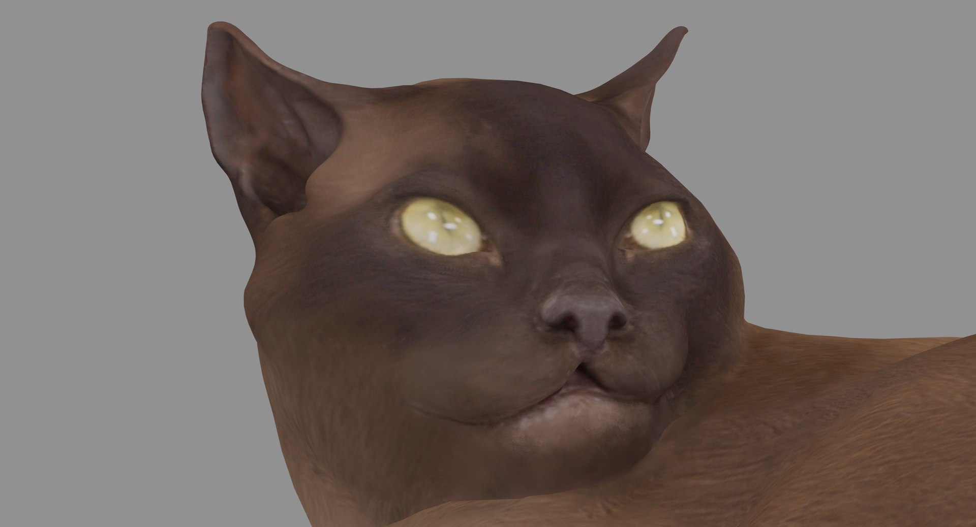 3D human animals dog model https://p.turbosquid.com/ts-thumb/SB/bbliM2/MqxLw4to/100000/png/1548008860/1920x1080/fit_q87/b8b3743cbccbe6b03b19ffda7d1e8ec02d837583/100000.jpg