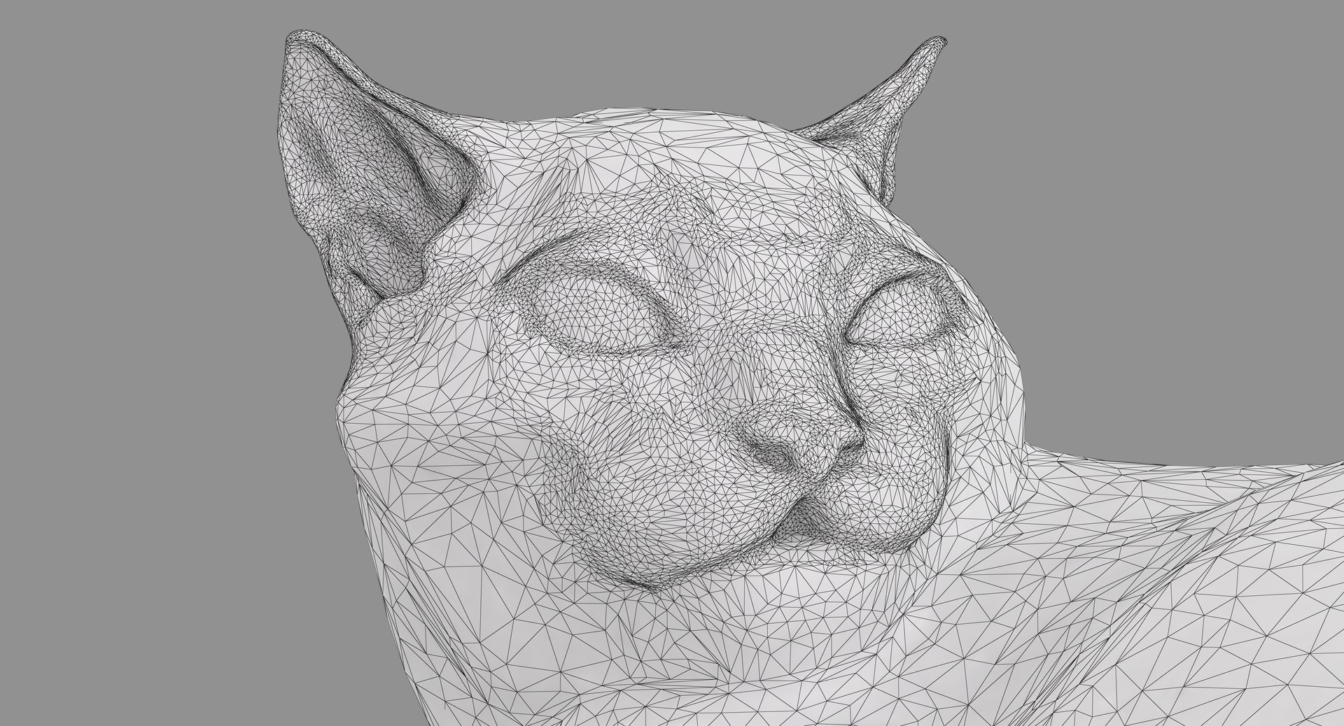 3D human animals dog model https://p.turbosquid.com/ts-thumb/SB/bbliM2/OlVcxfHG/100013/png/1548008860/1920x1080/fit_q87/c40d202fde39320655af63a4e6fc671ca2064712/100013.jpg