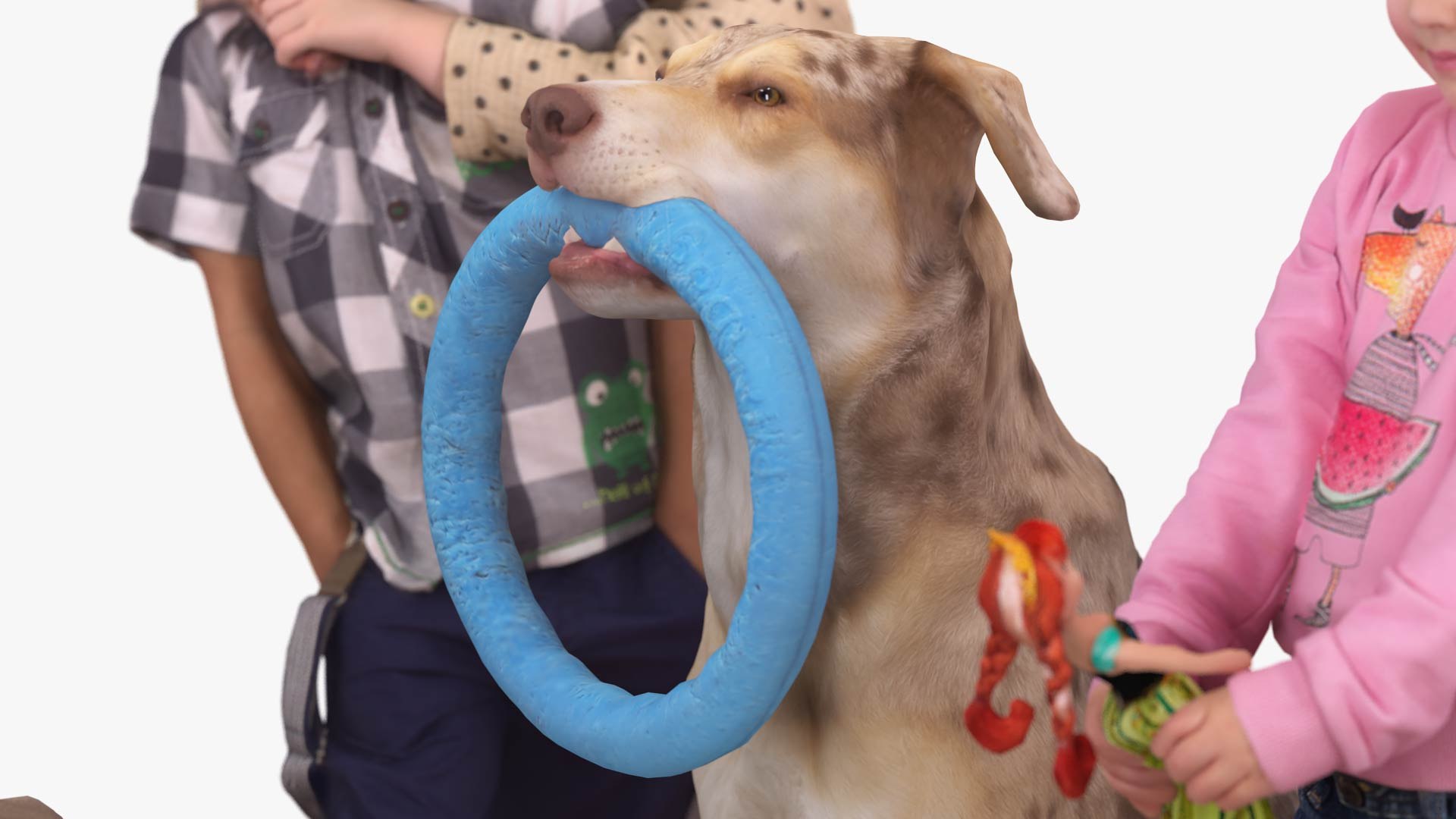 3D human animals dog model https://p.turbosquid.com/ts-thumb/SB/bbliM2/R2cUEm4S/200008/jpg/1548008321/1920x1080/fit_q87/efa5cf9a63949b3be40757e8ccdfb60547891719/200008.jpg