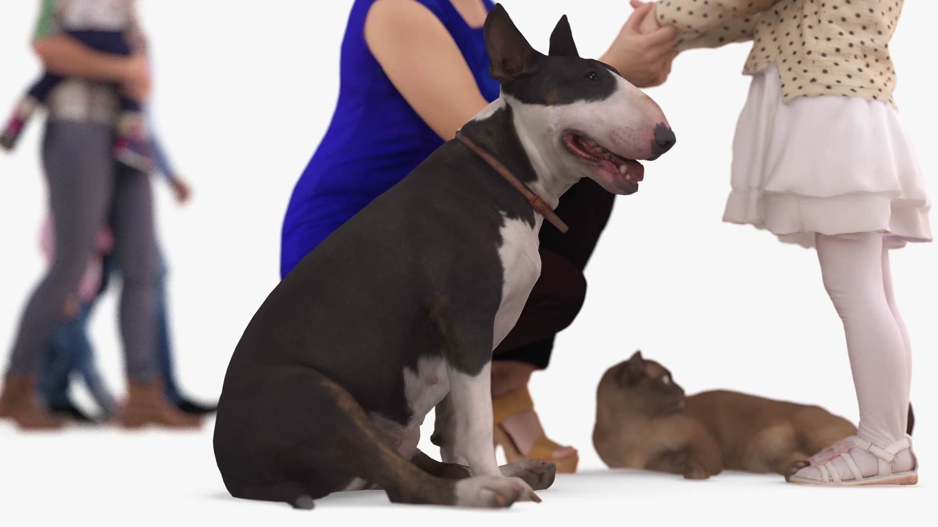 3D human animals dog model https://p.turbosquid.com/ts-thumb/SB/bbliM2/XUBuu5jo/200016/jpg/1548008322/1920x1080/fit_q87/774075793a335d58562ba537fa6ce335d82263c8/200016.jpg