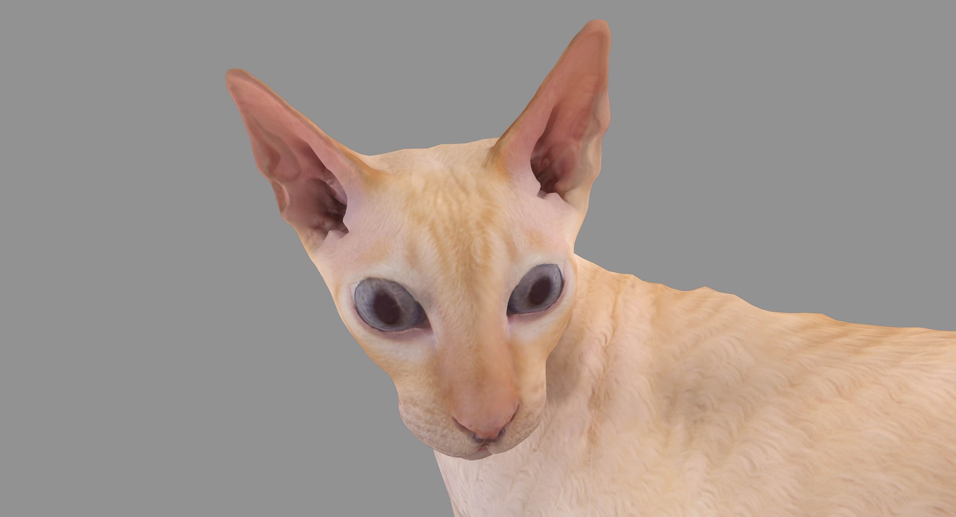 3D human animals dog model https://p.turbosquid.com/ts-thumb/SB/bbliM2/d7FaJTAh/100000/jpg/1548009355/1920x1080/fit_q87/99f5be00a6befa823c624c270e09c7a5ab7587f4/100000.jpg