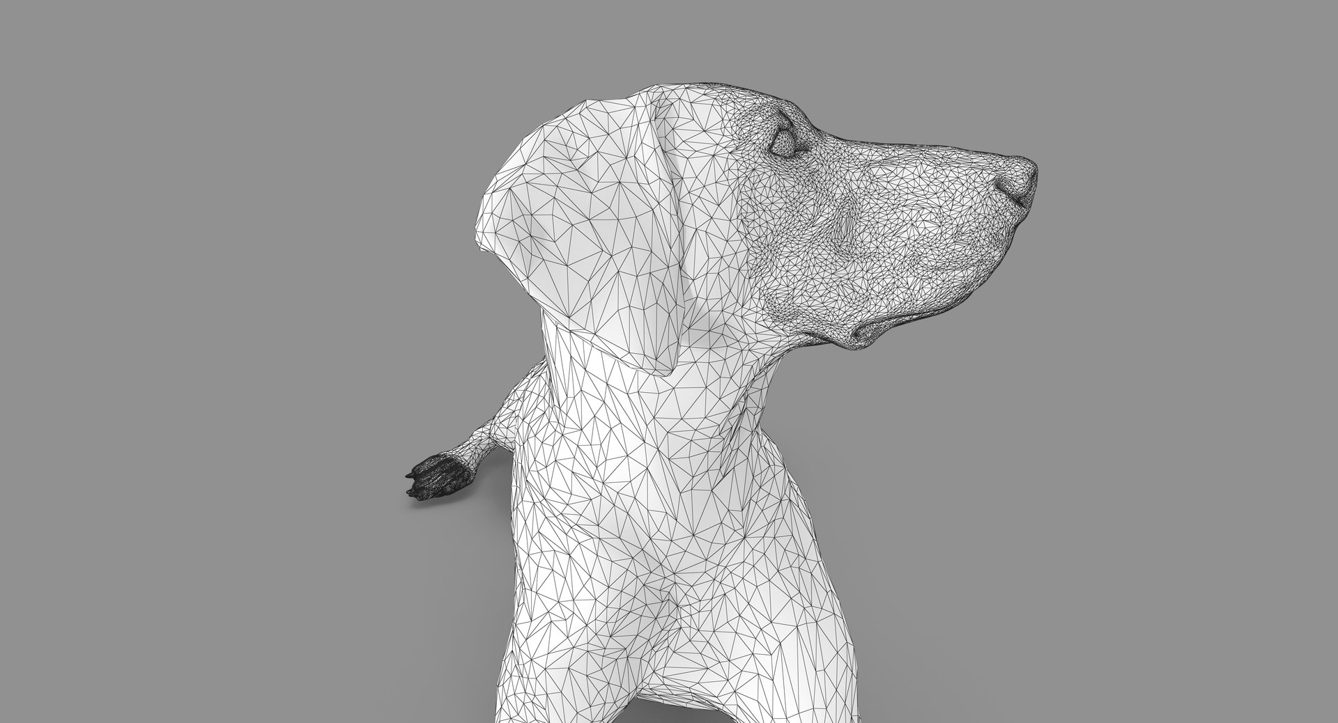 3D human animals dog model https://p.turbosquid.com/ts-thumb/SB/bbliM2/exMQRwwW/100016/png/1548009140/1920x1080/fit_q87/0c898f196772109056716168e08cd8d7e9270f6c/100016.jpg