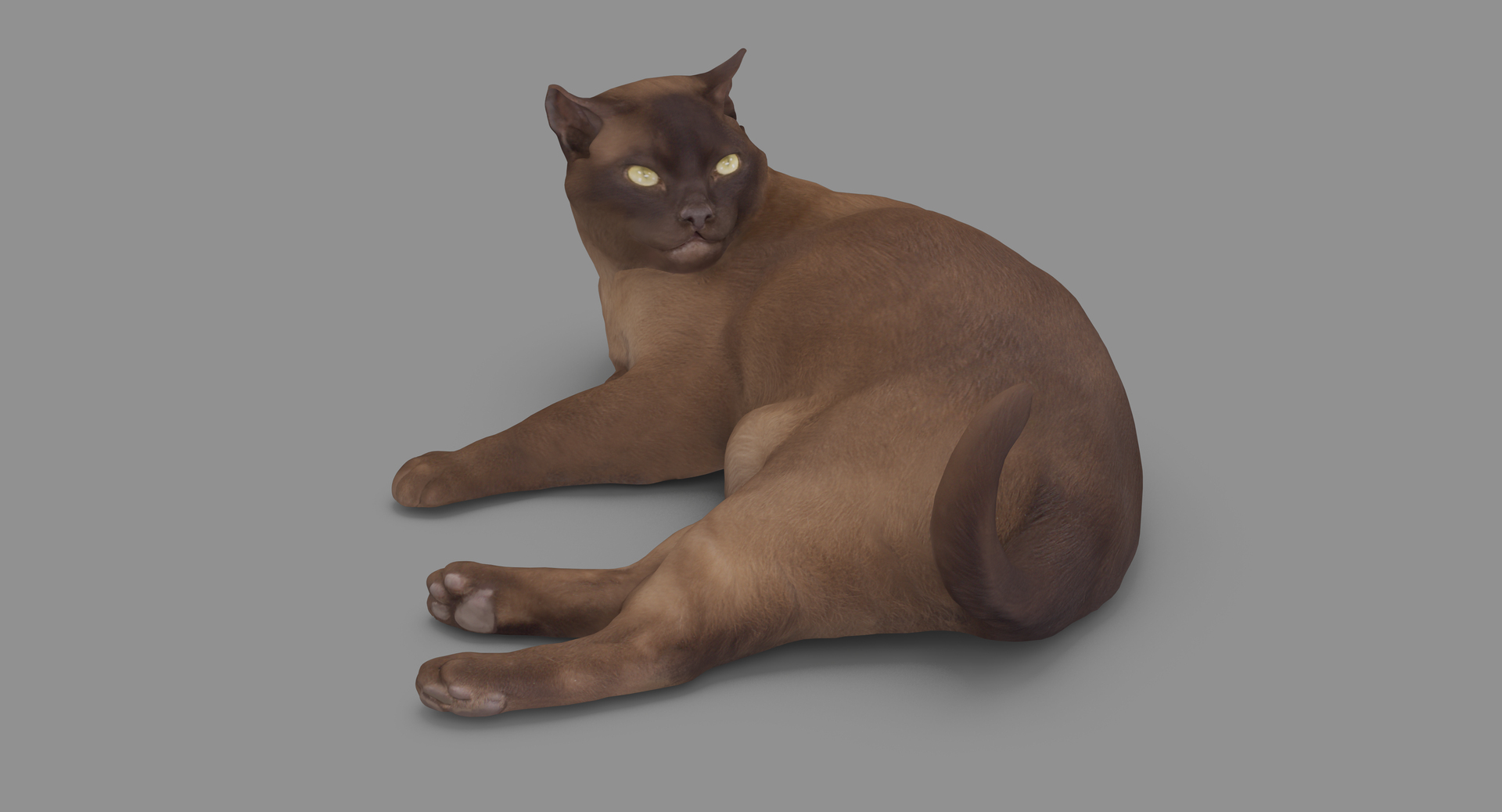 3D human animals dog model https://p.turbosquid.com/ts-thumb/SB/bbliM2/h3KA31CZ/100000/png/1548009512/1920x1080/turn_fit_q99/46b95910d3427d9275f26df56e9c3712dd552a5c/100000-1.jpg