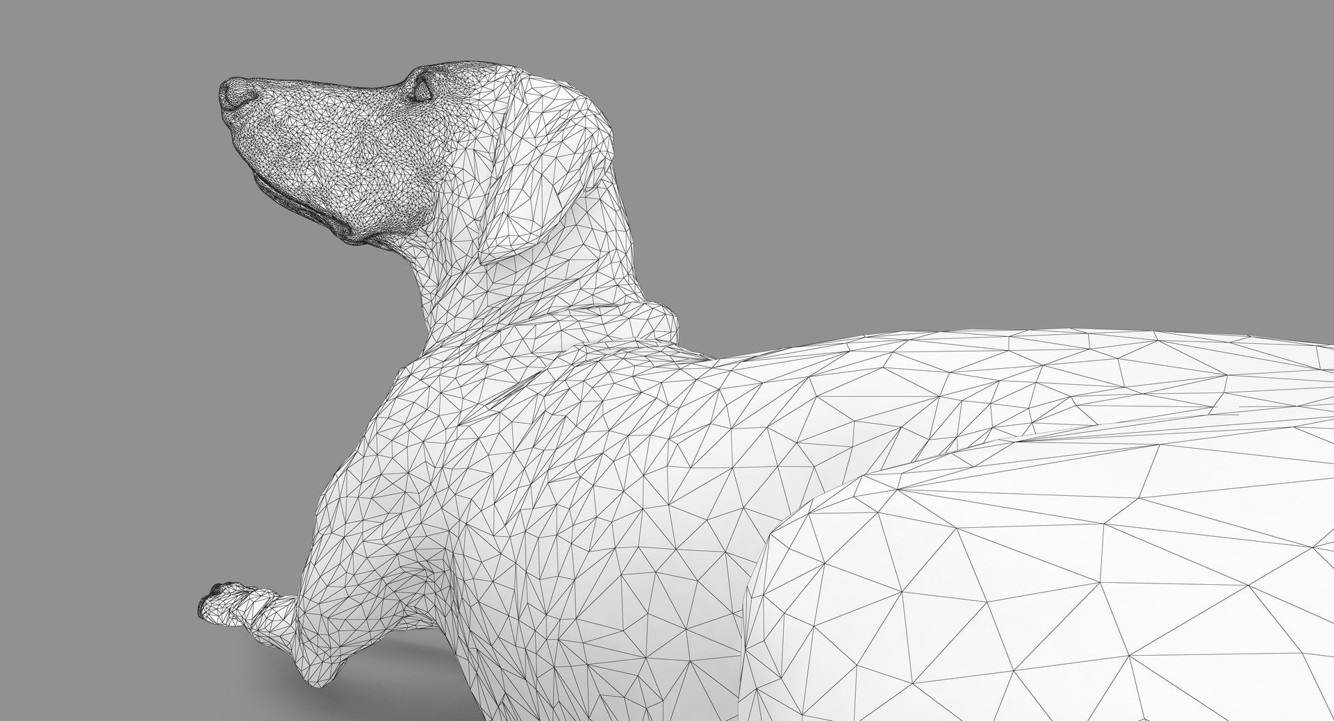 3D human animals dog model https://p.turbosquid.com/ts-thumb/SB/bbliM2/jYNL9wV8/100023/png/1548009140/1920x1080/fit_q87/9902671f5d927e0c0f058f3445f3522ebc6fd1cf/100023.jpg