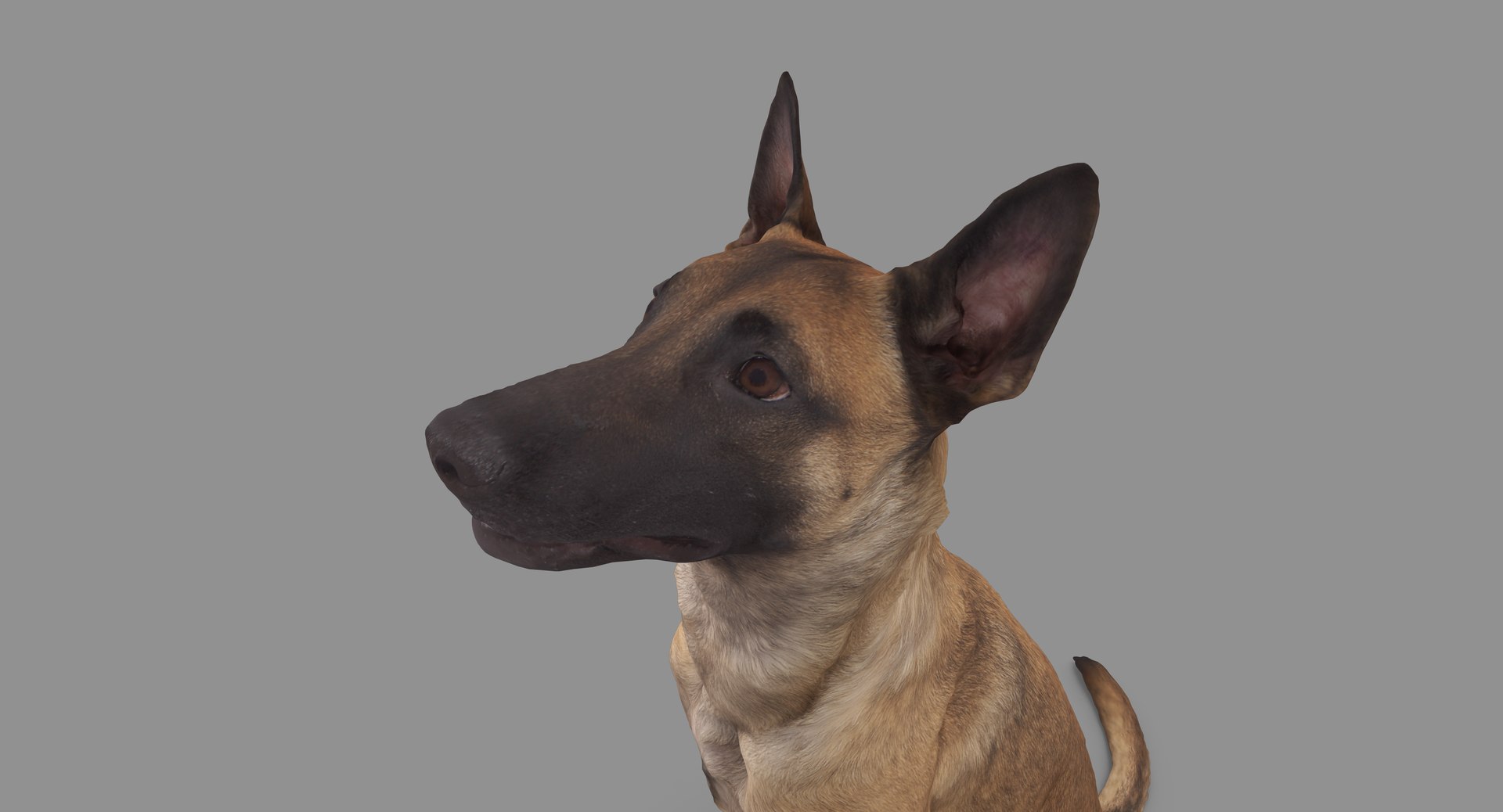 3D human animals dog model https://p.turbosquid.com/ts-thumb/SB/bbliM2/lDpQjZ3o/100000/png/1548008806/1920x1080/fit_q87/7f7cb3b2bee13dc188aef1b03582d068e2604dd8/100000.jpg