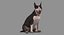 Colección Mascotas y Personas x14