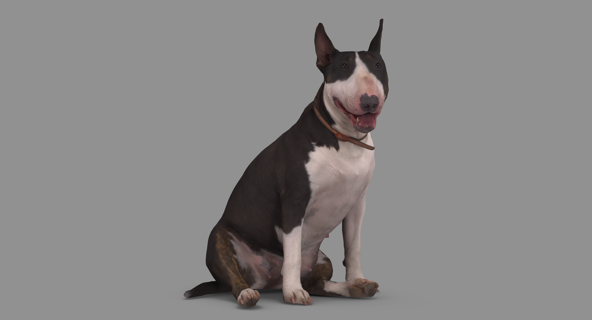 3D human animals dog model https://p.turbosquid.com/ts-thumb/SB/bbliM2/lMqkNPlD/100000/png/1548008964/1920x1080/turn_fit_q99/59a292e692b3bfac2b9ea0e0dc6015d8a8064359/100000-1.jpg