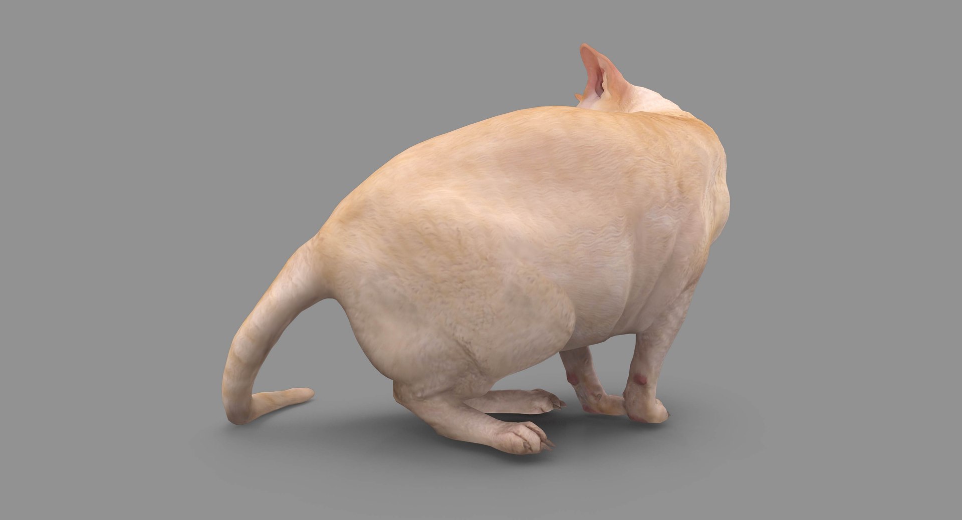 3D human animals dog model https://p.turbosquid.com/ts-thumb/SB/bbliM2/or4feAuf/100008/jpg/1548009355/1920x1080/fit_q87/6338d26c5e0d4ac143dde7e9326acc9d1d6c7cc4/100008.jpg