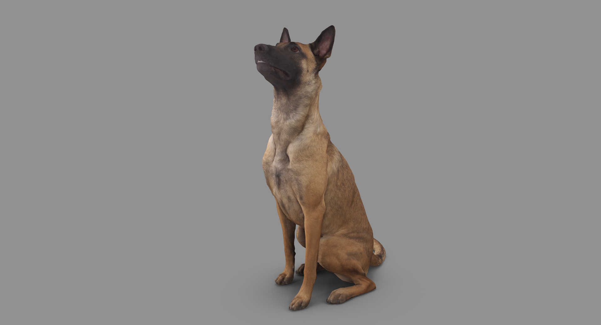 3D human animals dog model https://p.turbosquid.com/ts-thumb/SB/bbliM2/pDFIw0Qd/100000/png/1548009232/1920x1080/turn_fit_q99/0d9c3f3d9cdf12131a2bd6dd5e0a27dfcc0291f3/100000-1.jpg