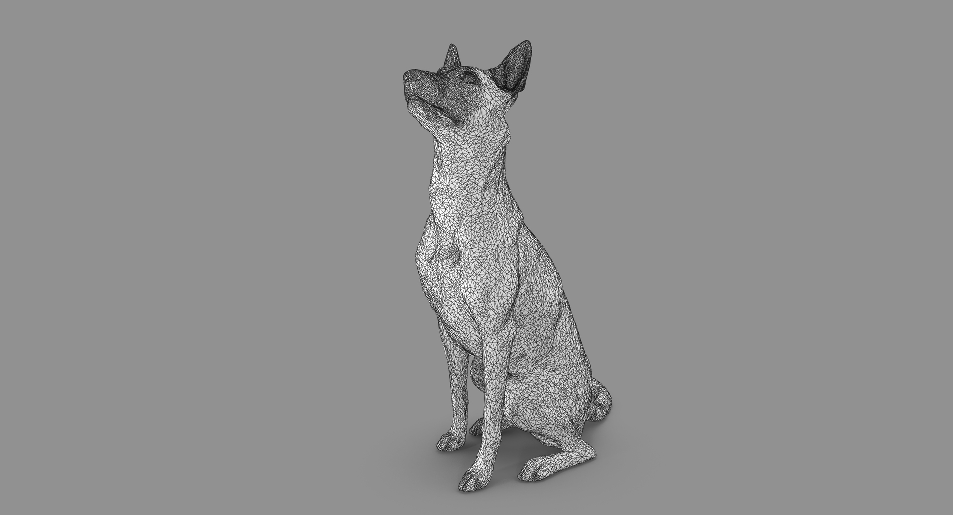3D human animals dog model https://p.turbosquid.com/ts-thumb/SB/bbliM2/qiH8n6Wl/100023/png/1548009289/1920x1080/turn_fit_q99/1244232e15433552da1965b227f4b0c655e39b14/100023-1.jpg