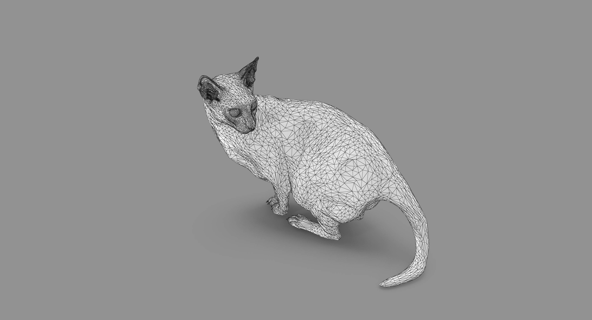 3D human animals dog model https://p.turbosquid.com/ts-thumb/SB/bbliM2/sHfIKhic/100023/jpg/1548010627/1920x1080/turn_fit_q99/ca66df90614a32a83e6fcf96c86ffc52f523dc83/100023-1.jpg