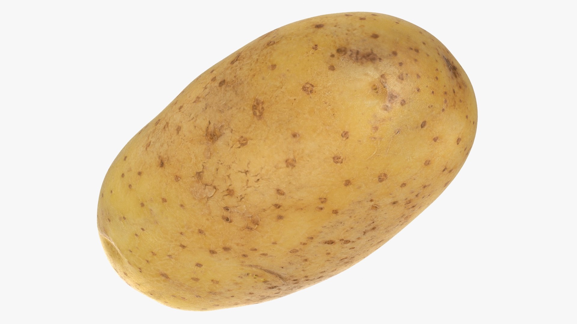 3D Old Potato https://p.turbosquid.com/ts-thumb/SB/cl7kH6/nD/lemon_rr_17/jpg/1621429639/1920x1080/fit_q87/ac947936f44d849d15cbd1ac6ab6e9827dc8f631/lemon_rr_17.jpg