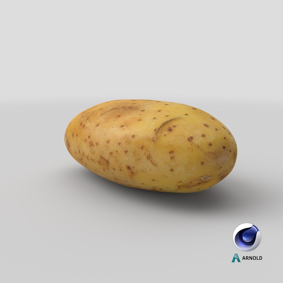 3D Old Potato https://p.turbosquid.com/ts-thumb/SB/cl7kH6/wB/stemcell_cinema_4d_arnold_render/png/1621913510/1920x1080/fit_q87/73be326b2897c3e200c229ec0ab649a57e4514b5/stemcell_cinema_4d_arnold_render.jpg