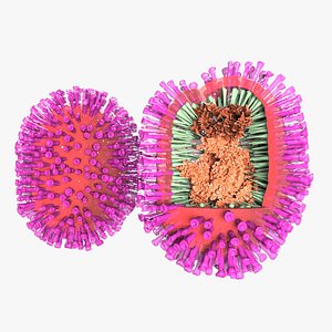 3D Flu Influenza Molecule model