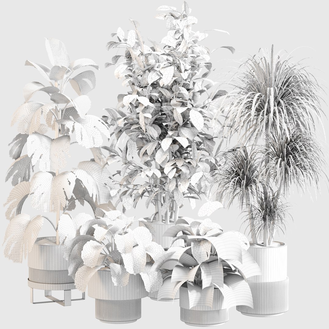 3D Indoor Plant Set 0113 https://p.turbosquid.com/ts-thumb/SC/2rt7lb/9O/5/jpg/1727099740/1920x1080/fit_q87/86c4f10ae6d26604e55651afe8e281adaff2d2b5/5.jpg