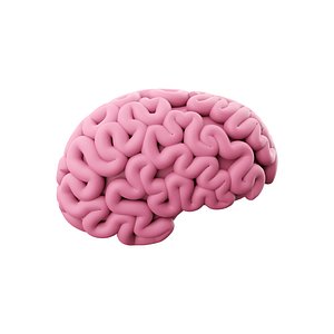 3D brain