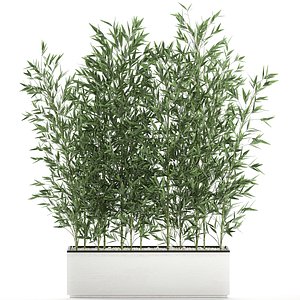 3D bamboo bush interior white model