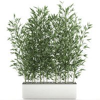 Bamboo bush for the interior in a white flowerpot 579
