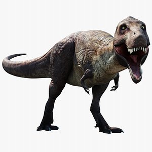 tyrannosaurus 3D model