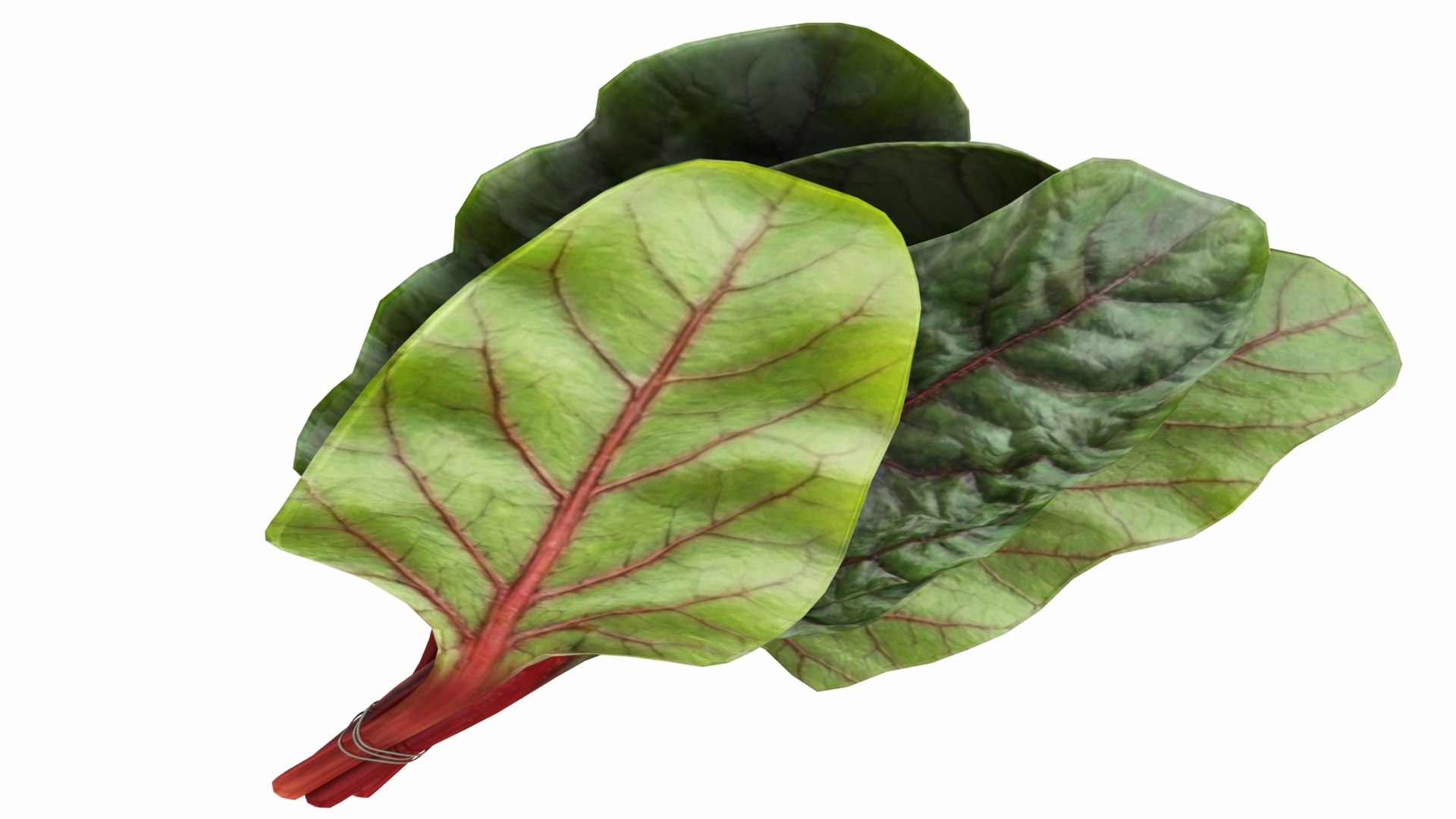 Leafy and Shrub Vegetables 3D https://p.turbosquid.com/ts-thumb/SC/UDr7nf/Ep/bunchofchard5/jpg/1768574995/1920x1080/fit_q87/8f6a1dcb8954d632b16b6c8eb4e2fc6ac33d948c/bunchofchard5.jpg