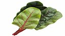 Bunch Of Chard