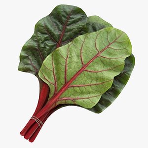 Bunch Of Chard model