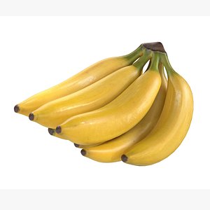 Banana Fruit Bunch model