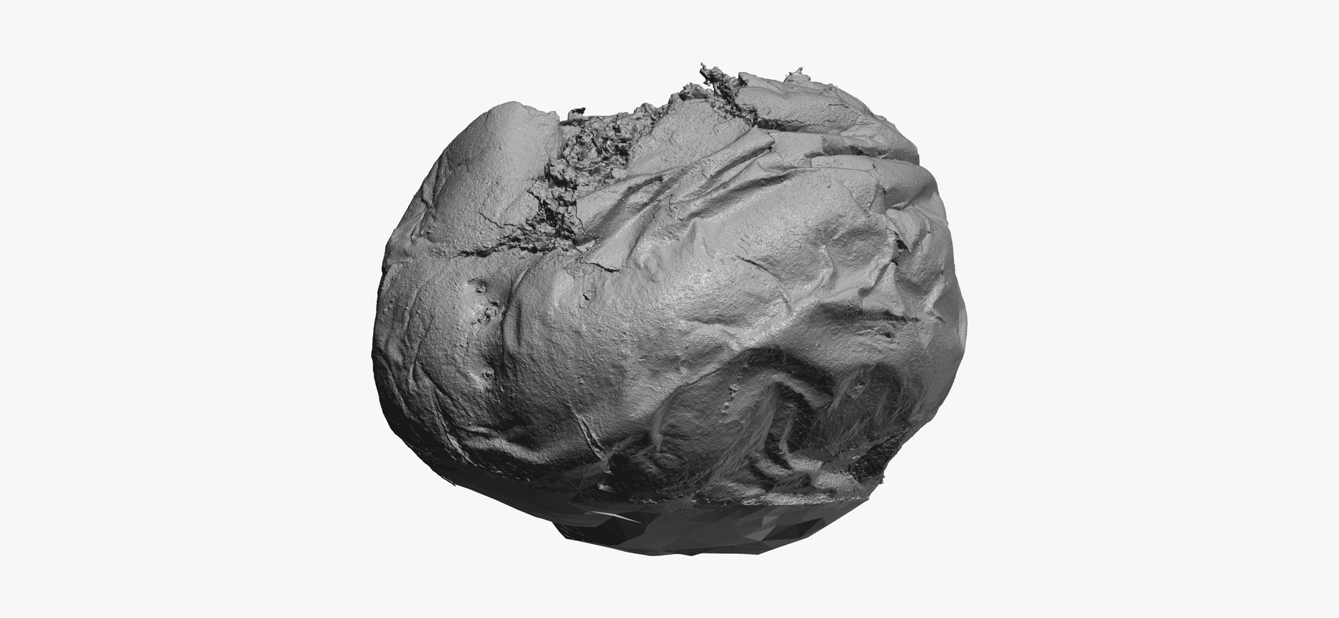 3D Jacket Potato 01 RAW Scan TurboSquid 1957020