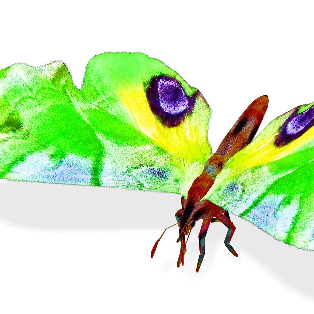3D Butterfly GREEN insect - TurboSquid 2126165