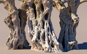 A thousand-year-old olive tree 3D model