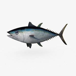 Tuna (Bigeye)