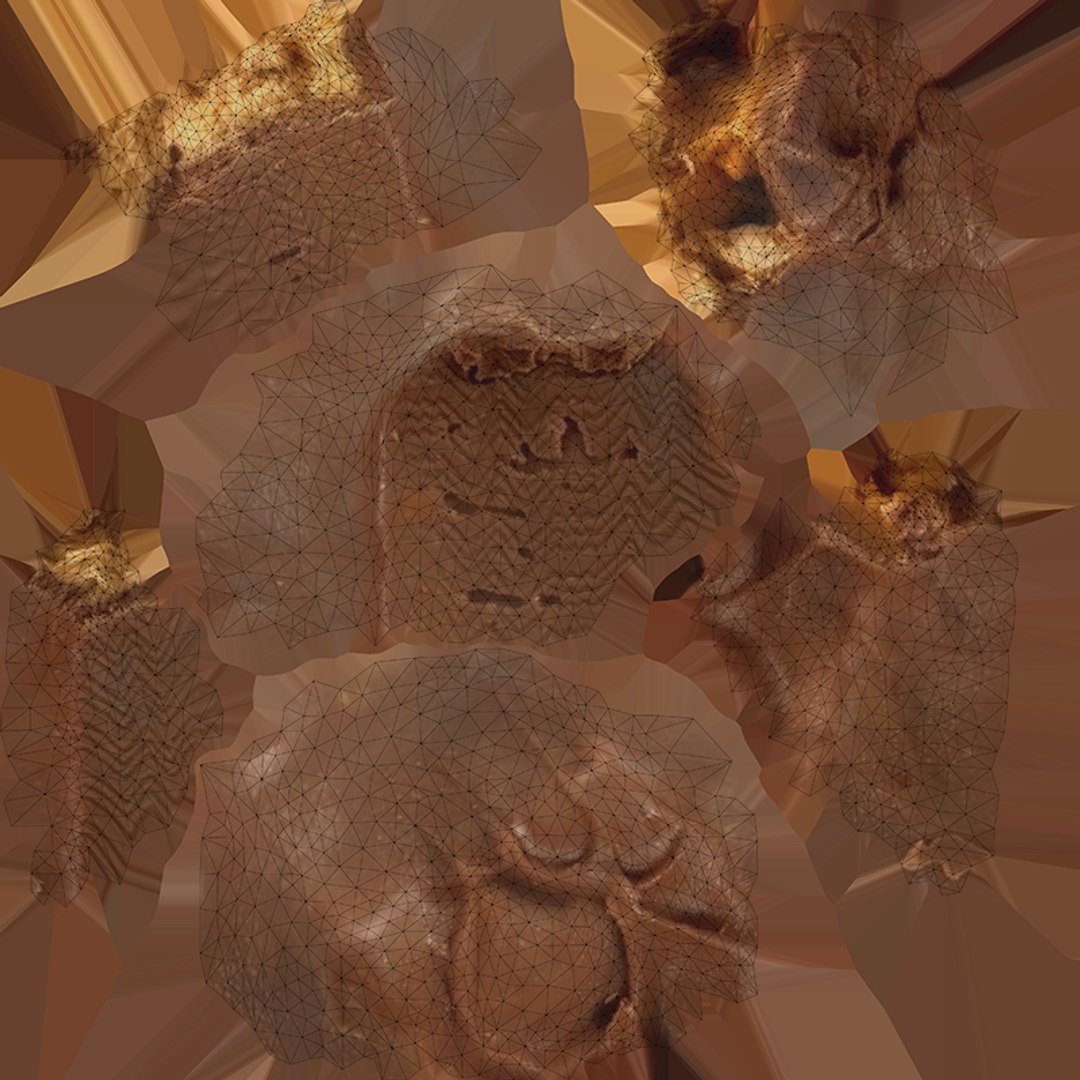 3D Snickers Chocolate Bar Cut - Photo Scan model https://p.turbosquid.com/ts-thumb/SE/2gfQpO/Os/model_0015/png/1762105757/1920x1080/fit_q87/c977963c4e96cc51b752ac510a5f59bac674745b/model_0015.jpg