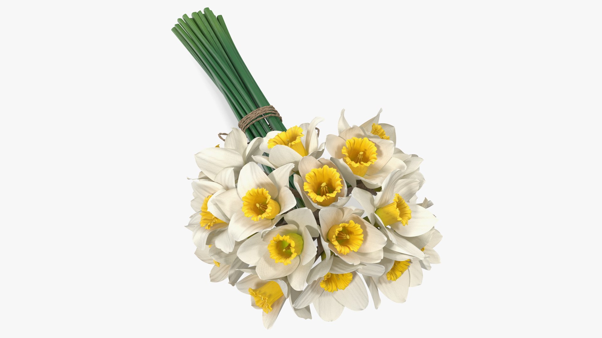 White Jonquil Bouquet 3D model preview