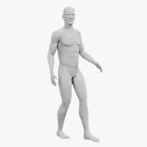 3D Dummy Rigged