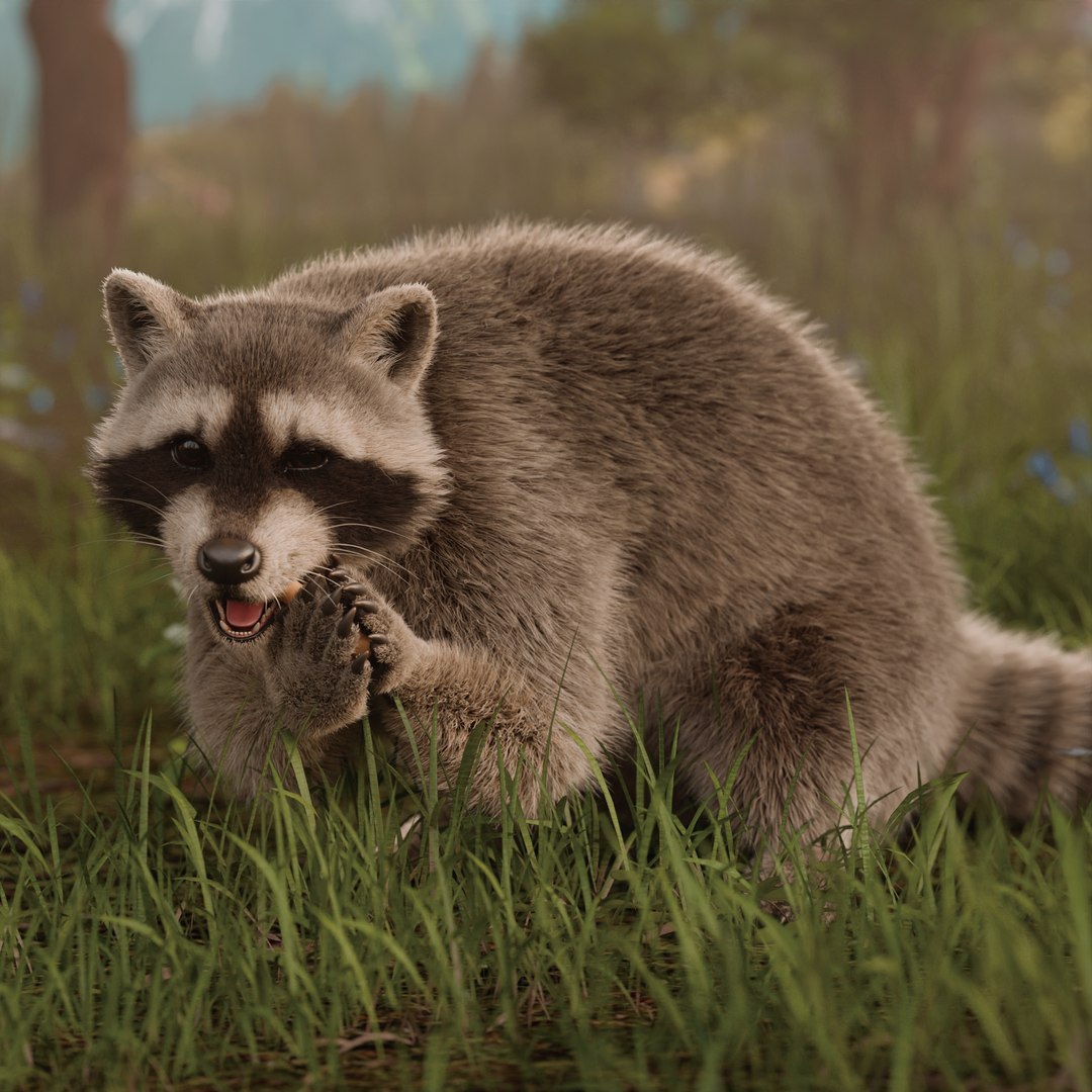 3D Raccoon Rigged Animated Model - TurboSquid 2203078