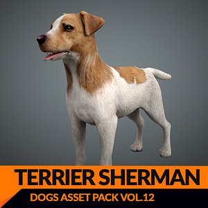 model s dog terier real-time