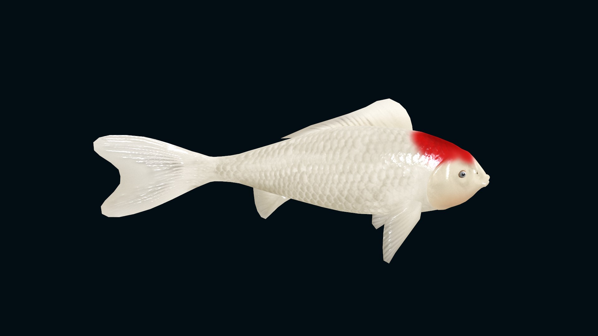 Animated carp koi 3D model https://p.turbosquid.com/ts-thumb/SE/IeBLWQ/rl/screenshot004/png/1700136389/1920x1080/fit_q87/fe0fcb313e698bc0090bf2235dc471589d4a0b15/screenshot004.jpg
