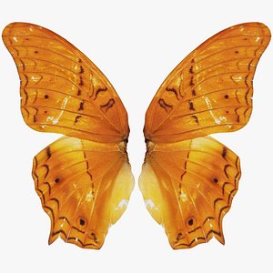 Mexican Fritillary Vindula Dejone Remastered