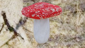 3D model mushroom
