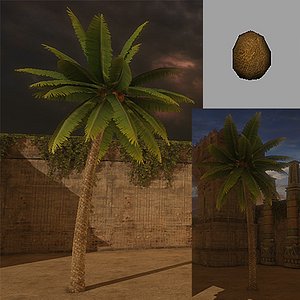 palm tree 3d model