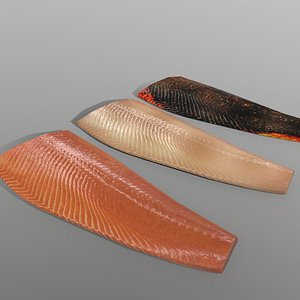 salmon ready games 3D