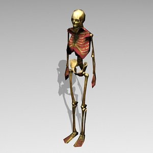 bones 3d 3ds