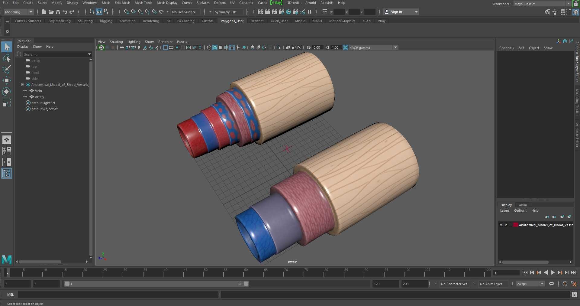 3D Anatomical Model of Blood Vessels in Cross Section https://p.turbosquid.com/ts-thumb/SE/jbQRKY/nf/anatomical_model_of_blood_vessels_in_cross_section_1004/jpg/1747065236/1920x1080/fit_q87/ca3fac648d96deae4097d7808c1f7117fa3ef65a/anatomical_model_of_blood_vessels_in_cross_section_1004.jpg