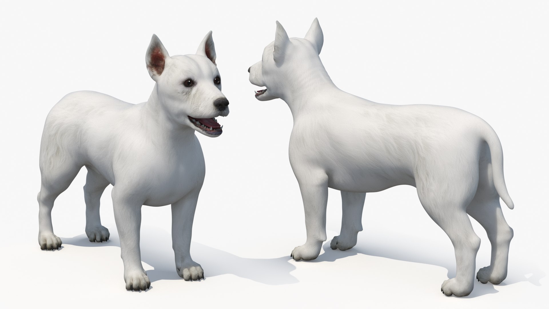 3D West Highland White Terrier Rigged model https://p.turbosquid.com/ts-thumb/SE/jn7klU/05/west_highland_white_terrier_rigged_012/jpg/1748634047/1920x1080/fit_q87/44a204bb88eb30ff01bcfeaf850413c4f989dcf3/west_highland_white_terrier_rigged_012.jpg