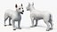 West Highland White Terrier Rigged