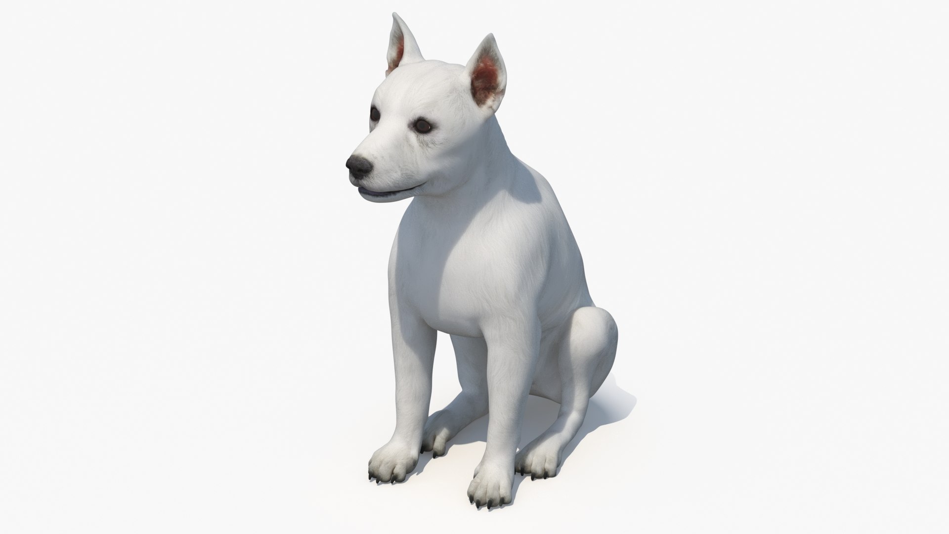 3D West Highland White Terrier Rigged model https://p.turbosquid.com/ts-thumb/SE/jn7klU/64/west_highland_white_terrier_rigged_010/jpg/1748634041/1920x1080/fit_q87/8afe642a8329e9435336a28b0da240c4dfa6230c/west_highland_white_terrier_rigged_010.jpg