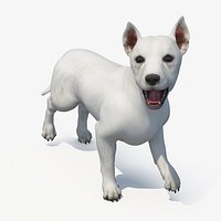 West Highland White Terrier Rigged