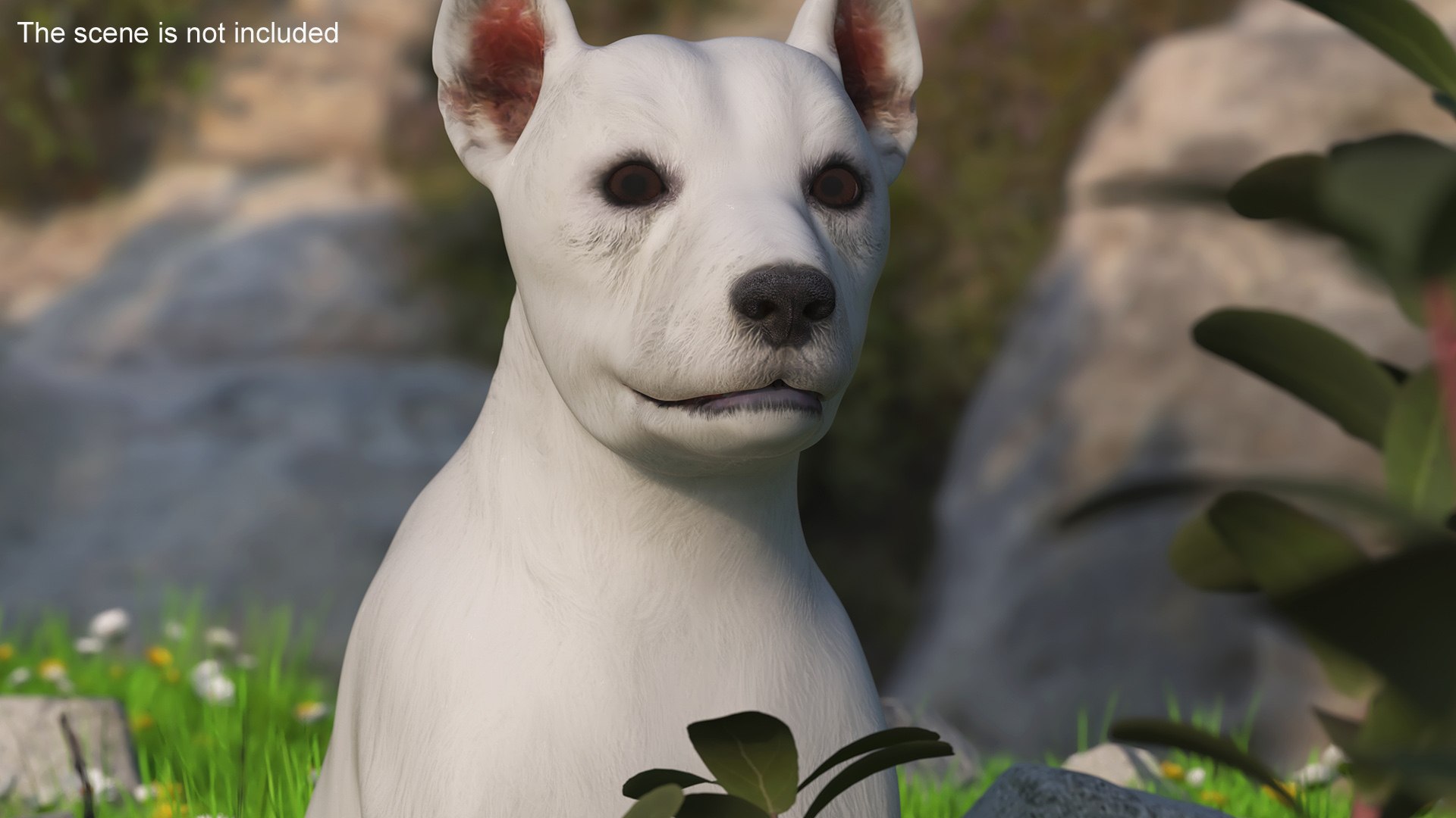 3D West Highland White Terrier Rigged model https://p.turbosquid.com/ts-thumb/SE/jn7klU/Xq/west_highland_white_terrier_rigged_004/jpg/1748634023/1920x1080/fit_q87/7d6fb68916427ec56da7aa7b1b22c02ecc6304ae/west_highland_white_terrier_rigged_004.jpg