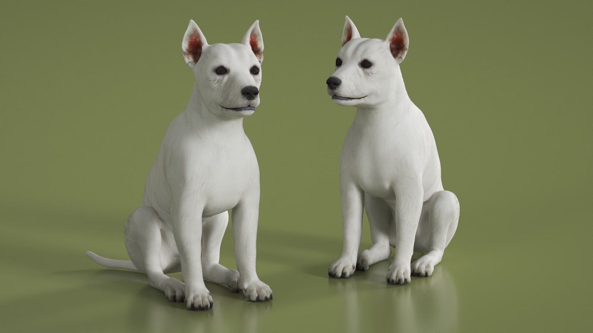 3D West Highland White Terrier Rigged model https://p.turbosquid.com/ts-thumb/SE/jn7klU/g4/west_highland_white_terrier_rigged_008/jpg/1748634034/1920x1080/fit_q87/14ae5c8d6a3b7f336200ba666ee7eadc66a28ab6/west_highland_white_terrier_rigged_008.jpg