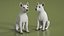 West Highland White Terrier Rigged